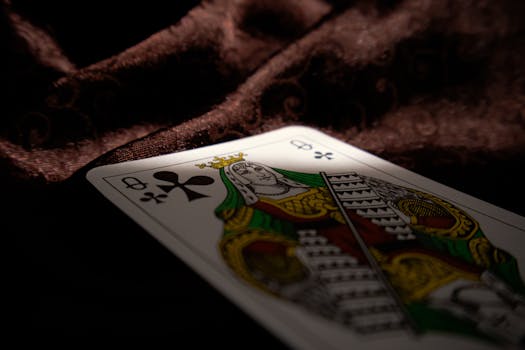 Casino-11511