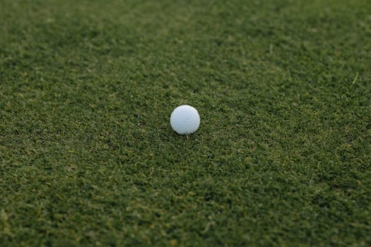 Casino-1478