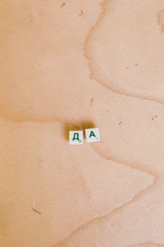 Casino-4491