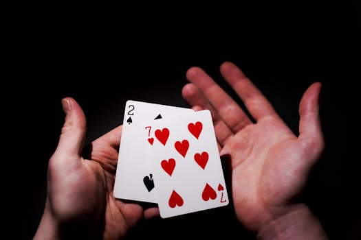 Casino-7664